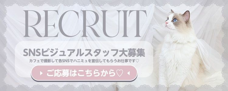 recruit ビジュアルスタッフ