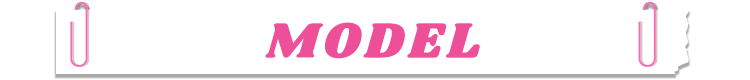model