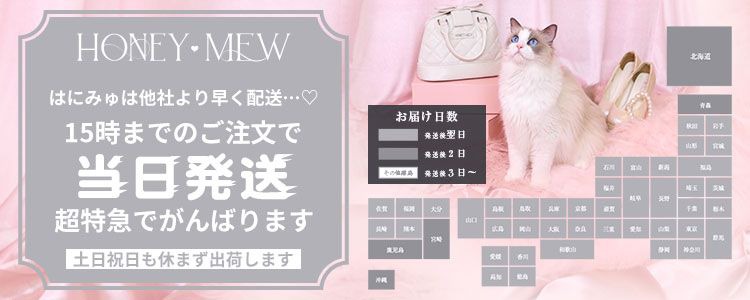 送料無料キャンペーン