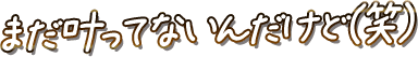 まだ叶ってないんだけど(笑)